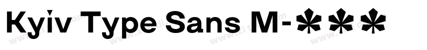 Kyiv Type Sans M字体转换